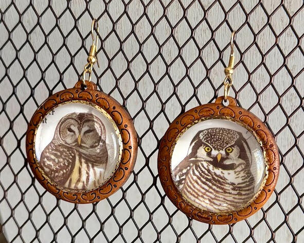 Northern Hawk Owl & Barred Owl | 1.5" long