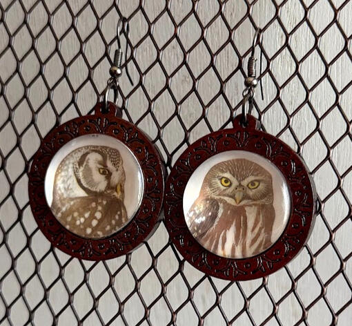 Boreal Owl & Ferruginous Pygmy Owl | 1.5" long