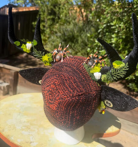 Faux moss, teeth, and fern accents. 2 brown and orange striped tarantula spiders, painted like the Mexican redknee tarantula pattern.