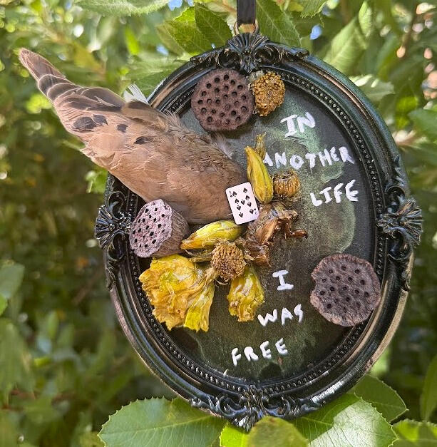 IN ANOTHER LIFE... | real mourning dove wing, real cicada shell, pressed flowers, 9 of spades card ~ sealed in resin | $45