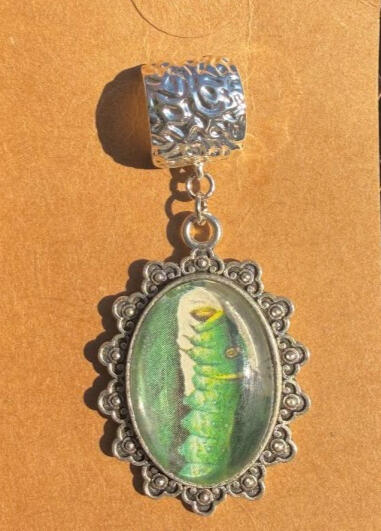 Single earring! Tiger Swallowtail Larva Stud. Textured silver w/ cuff-like style. Approx 2.3&quot; in length. $13