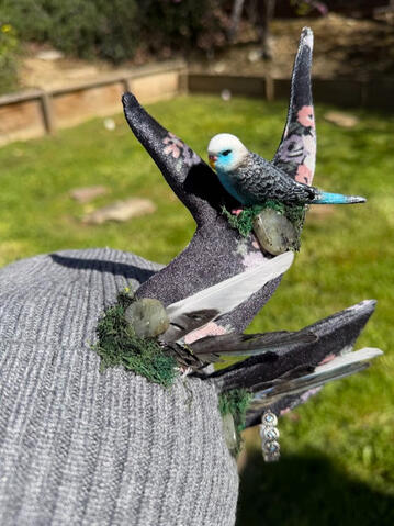 Perfect for the bird / avian / budgie lover in your life! Beanie has a plush inner lining for xtra comfort.