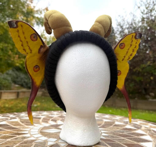 Golden velvet mini faun horns on black (fleece lined) beanie. In place of ears are two large comet moth wings made of foam and canvas, painted in acrylics and sealed. 1st of its kind, selling at discounted price!