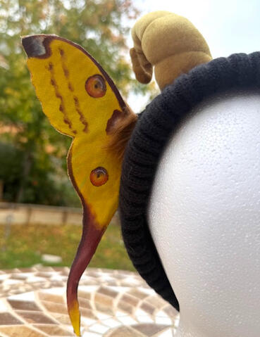 Some tufts of light brown fur sprout from the wings to add to the moth fuzziness effect.