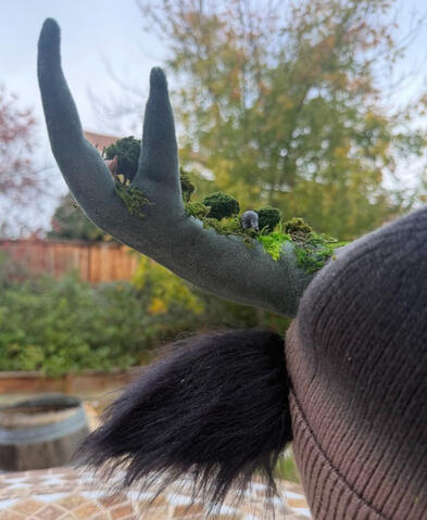 Back of the ears are black and fluffy.