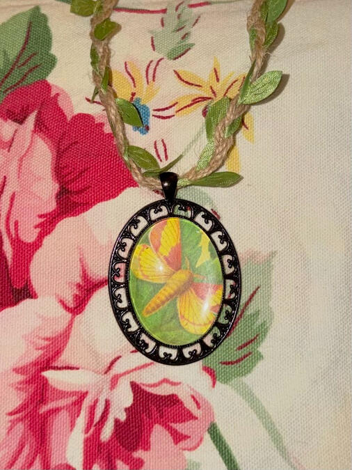 indoor / soft lighting closeup